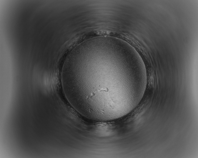 X0000093500616200710121514