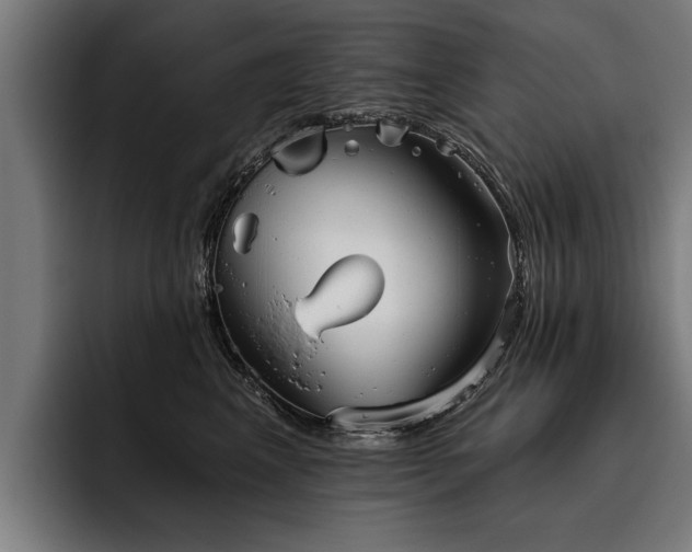 X0000093500617200710121514