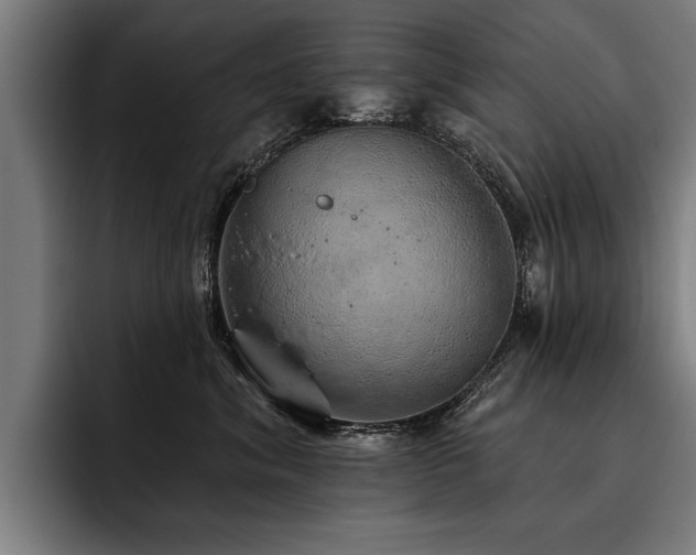 X0000093500620200710121514