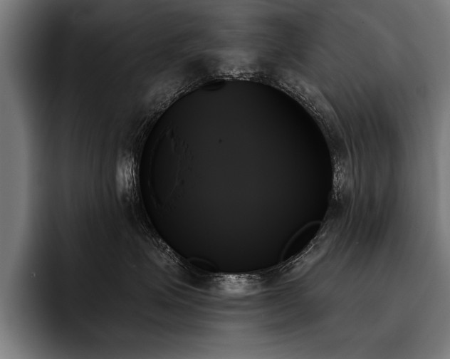 X0000093500623200710121514