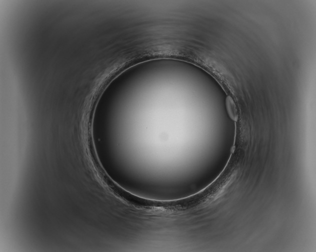 X0000093500625200710121514