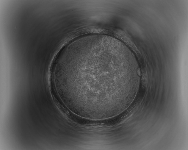X0000093500626200710121514
