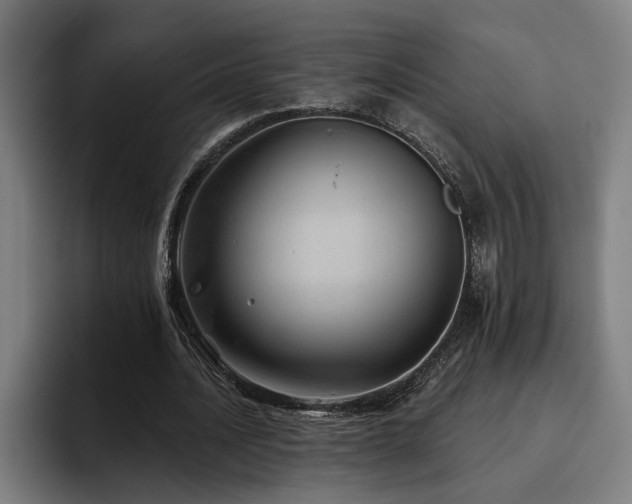 X0000093500628200710121514