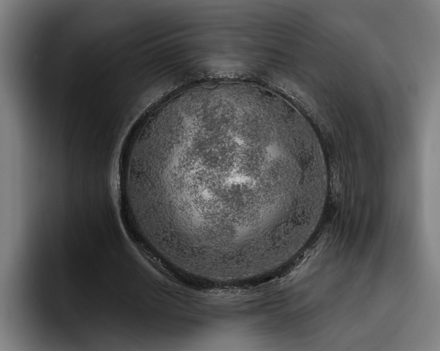 X0000093500630200710121514