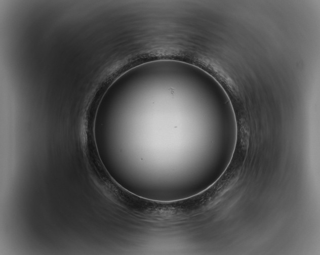X0000093500631200710121514