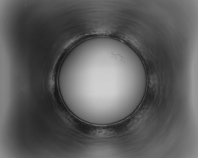 X0000093500632200710121514