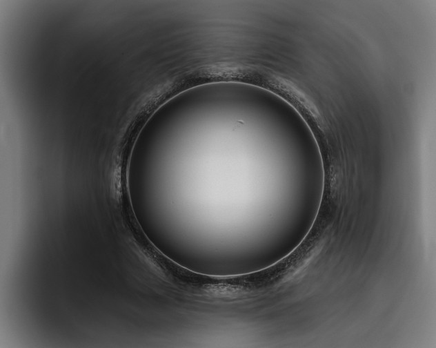 X0000093500633200710121514