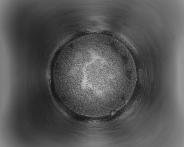 X0000093500634200710121514