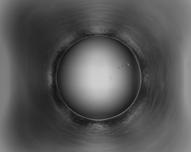 X0000093500635200710121514