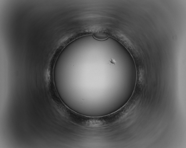 X0000093500636200710121514