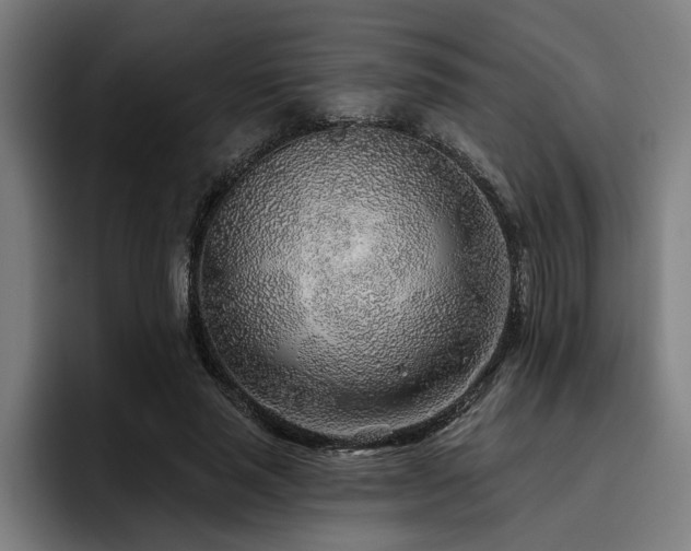 X0000093500637200710121514