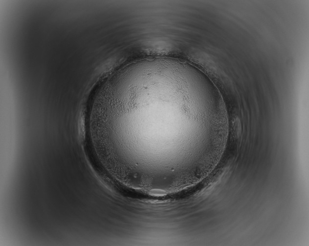 X0000093500638200710121514
