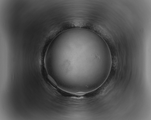 X0000093500639200710121514