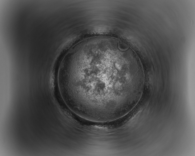 X0000093500640200710121514