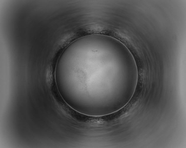 X0000093500642200710121514