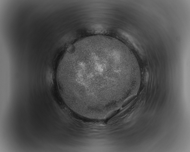 X0000093500643200710121514