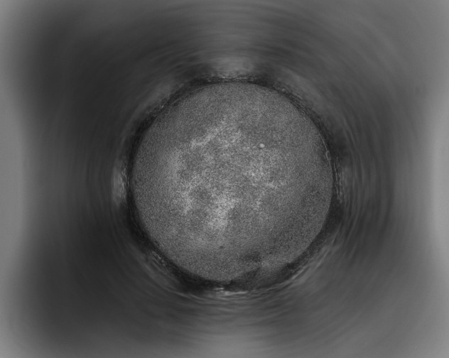 X0000093500644200710121514