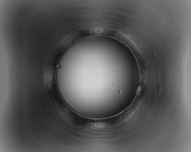 X0000093500645200710121514