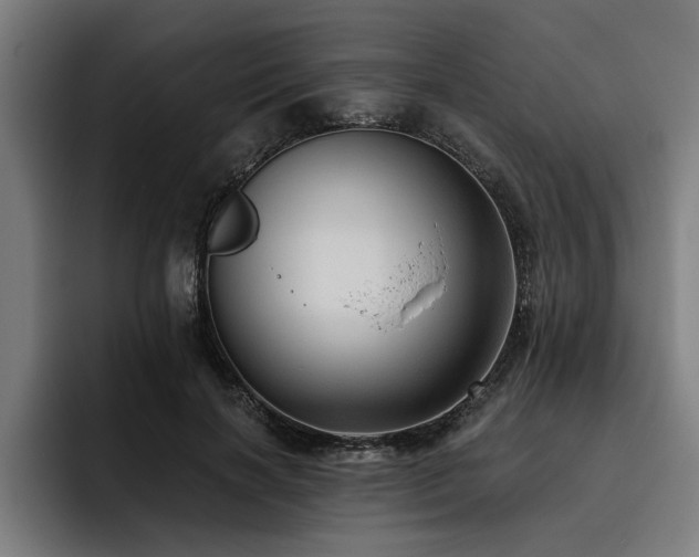 X0000093500646200710121514