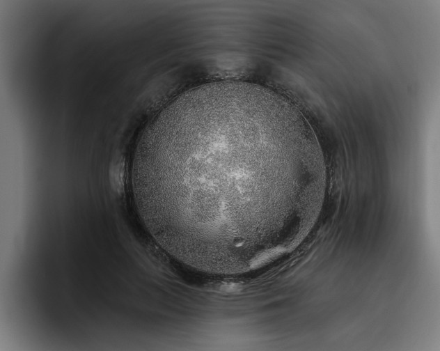 X0000093500647200710121514