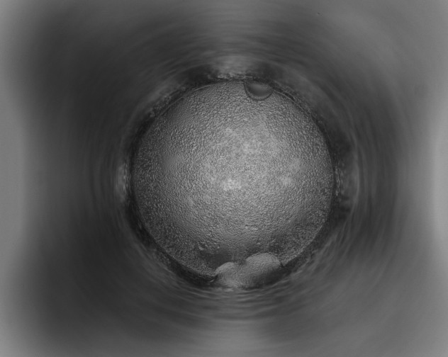 X0000093500648200710121514