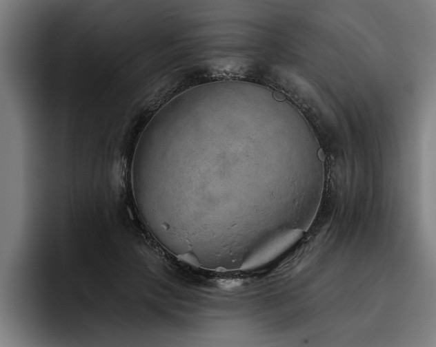 X0000093500649200710121514