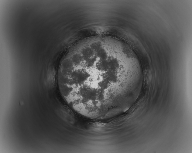 X0000093500650200710121514