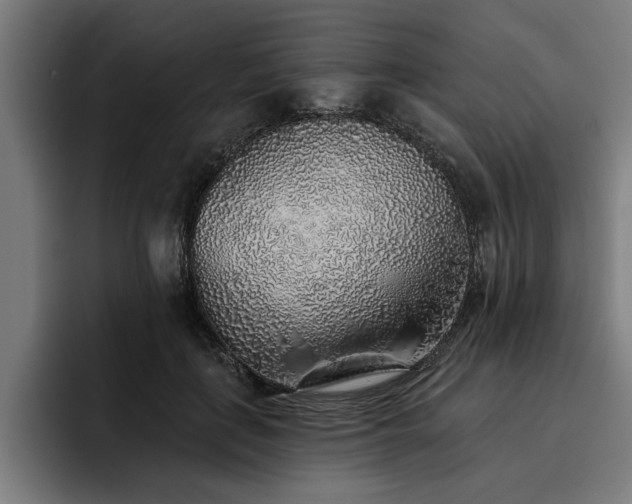 X0000093500651200710121514