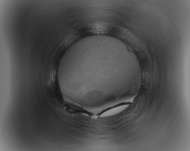 X0000093500652200710121514
