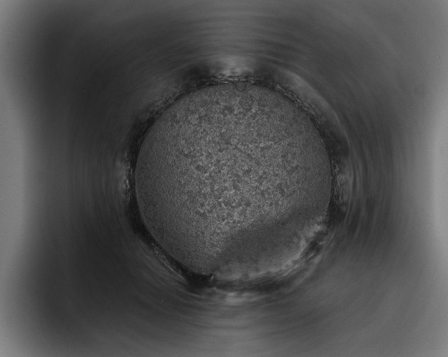 X0000093500654200710121514