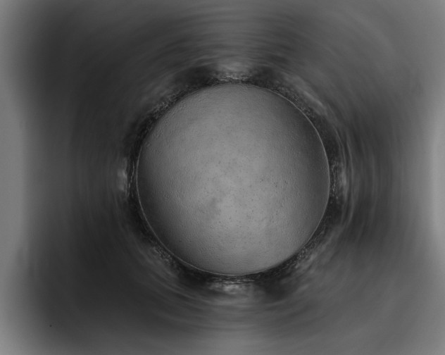 X0000093500655200710121514