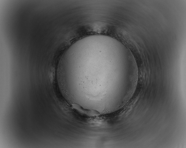 X0000093500656200710121514