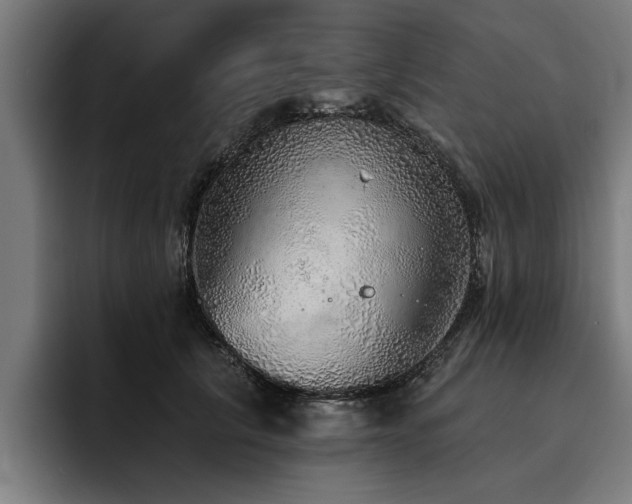 X0000093500657200710121514