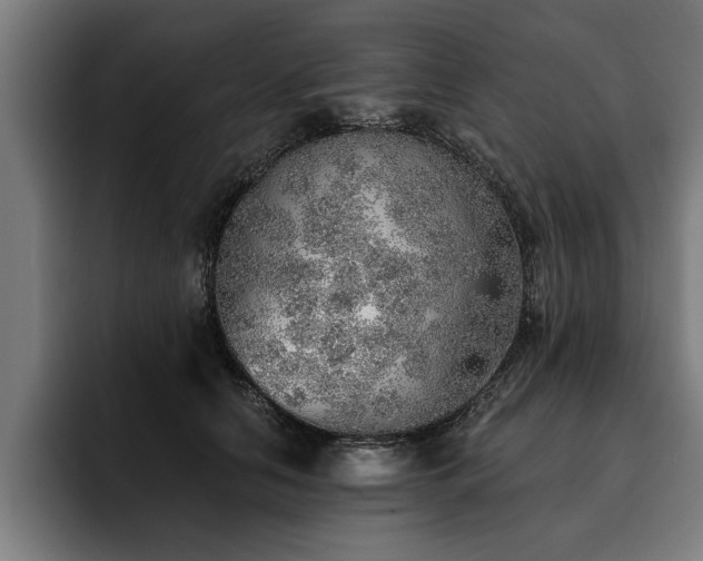 X0000093500658200710121514
