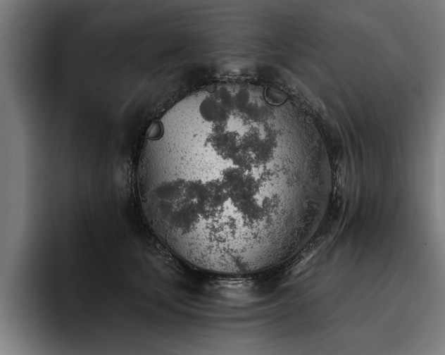 X0000093500659200710121514