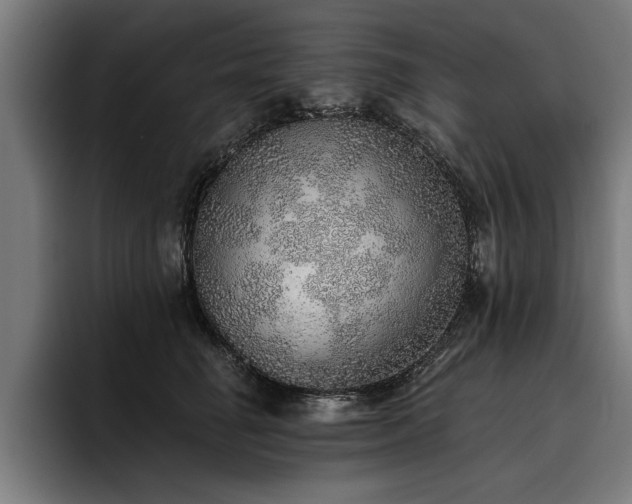 X0000093500662200710121514