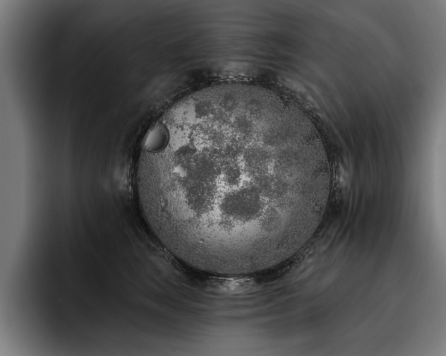 X0000093500663200710121514