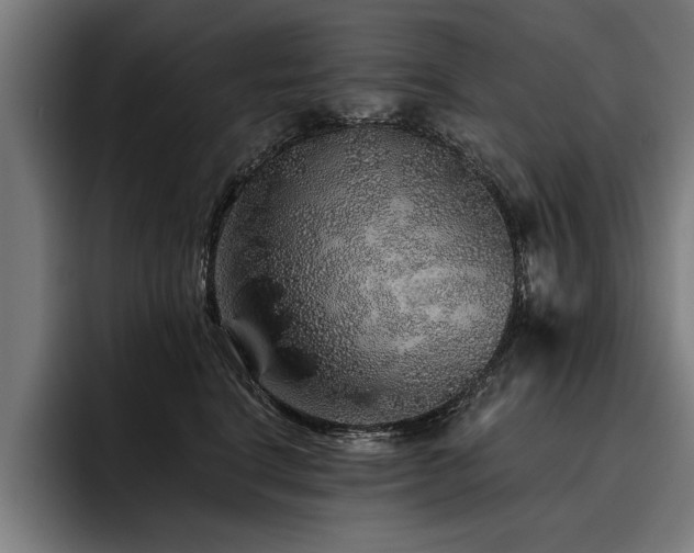 X0000093500664200710121514