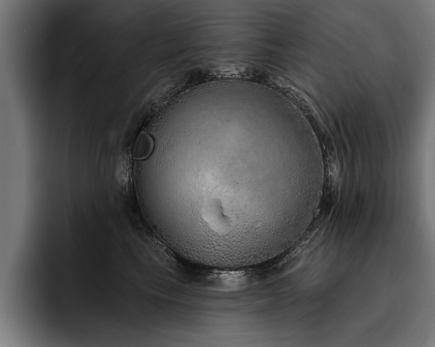 X0000093500665200710121514