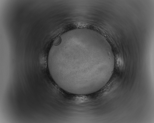 X0000093500666200710121514