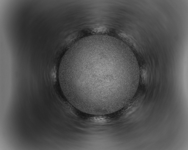 X0000093500668200710121514