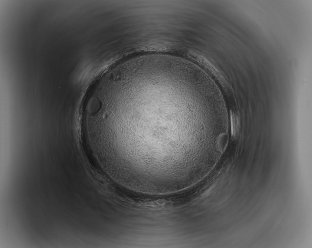 X0000093500675200710121514