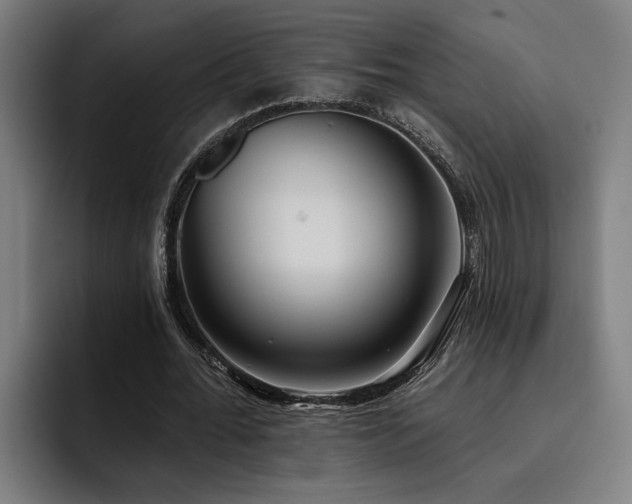 X0000093500676200710121514