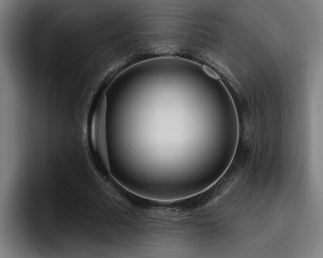 X0000093500681200710121513