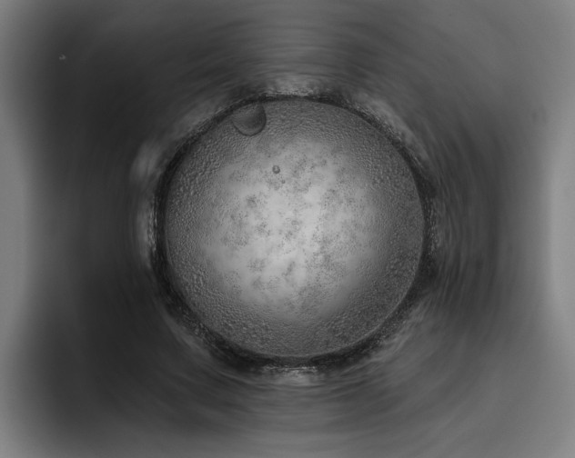 X0000093500683200710121513