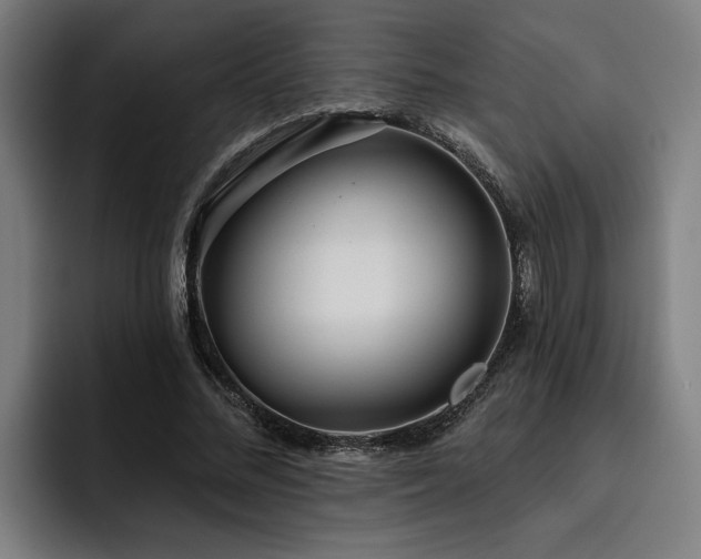 X0000093500684200710121513