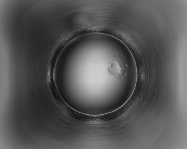 X0000093500685200710121513