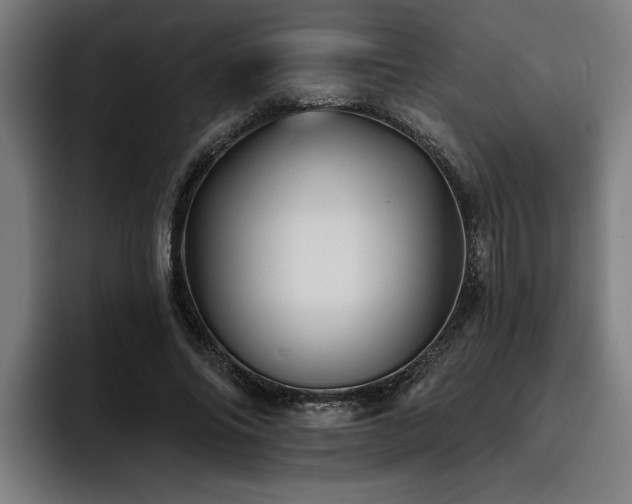 X0000093500686200710121513