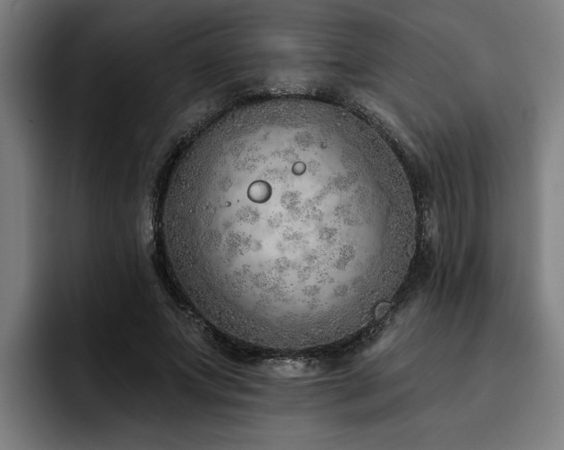 X0000093500687200710121513