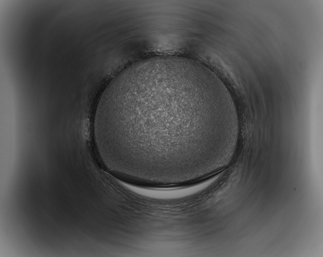 X0000093500689200710121513
